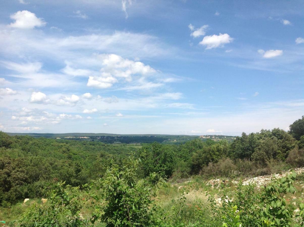 Вілла Au Coin Des Cerisiers Montclus  Екстер'єр фото